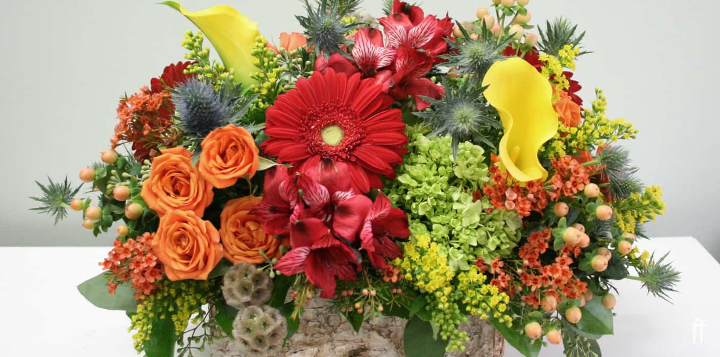Giving Gratitude Fall 2019-Blog Banner 12-freytags-florist-austin-tx