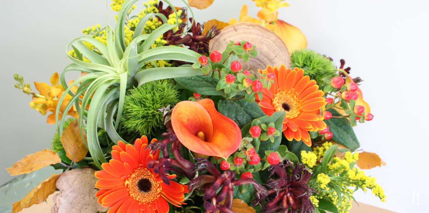 Wondrous Fall 2019-Blog Banner 9-freytags-florist-austin-tx