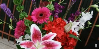 Valentine’s 2021-Blog Banner 3- freytags-florist-austin-tx