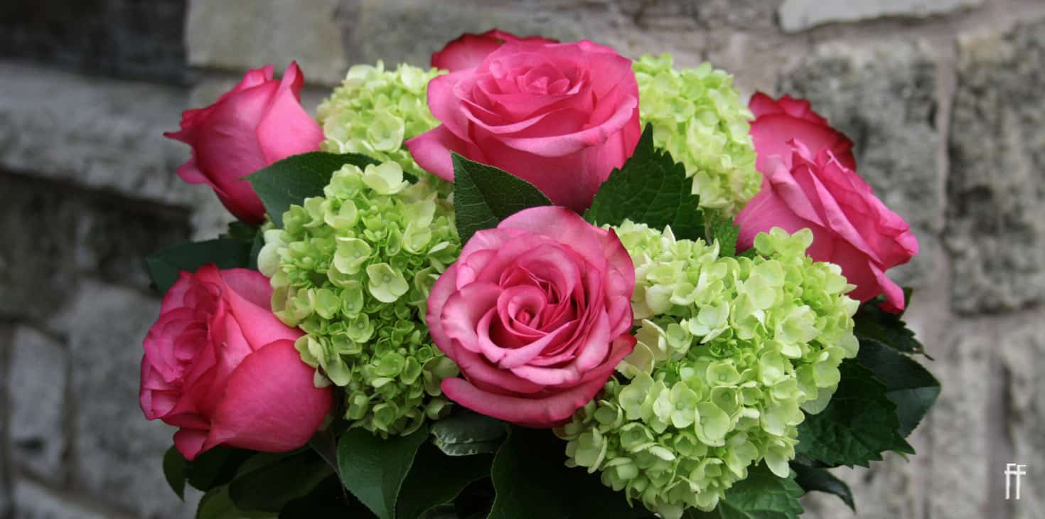 Lorelai | Freytag's Florist | Flowers & Gifts
